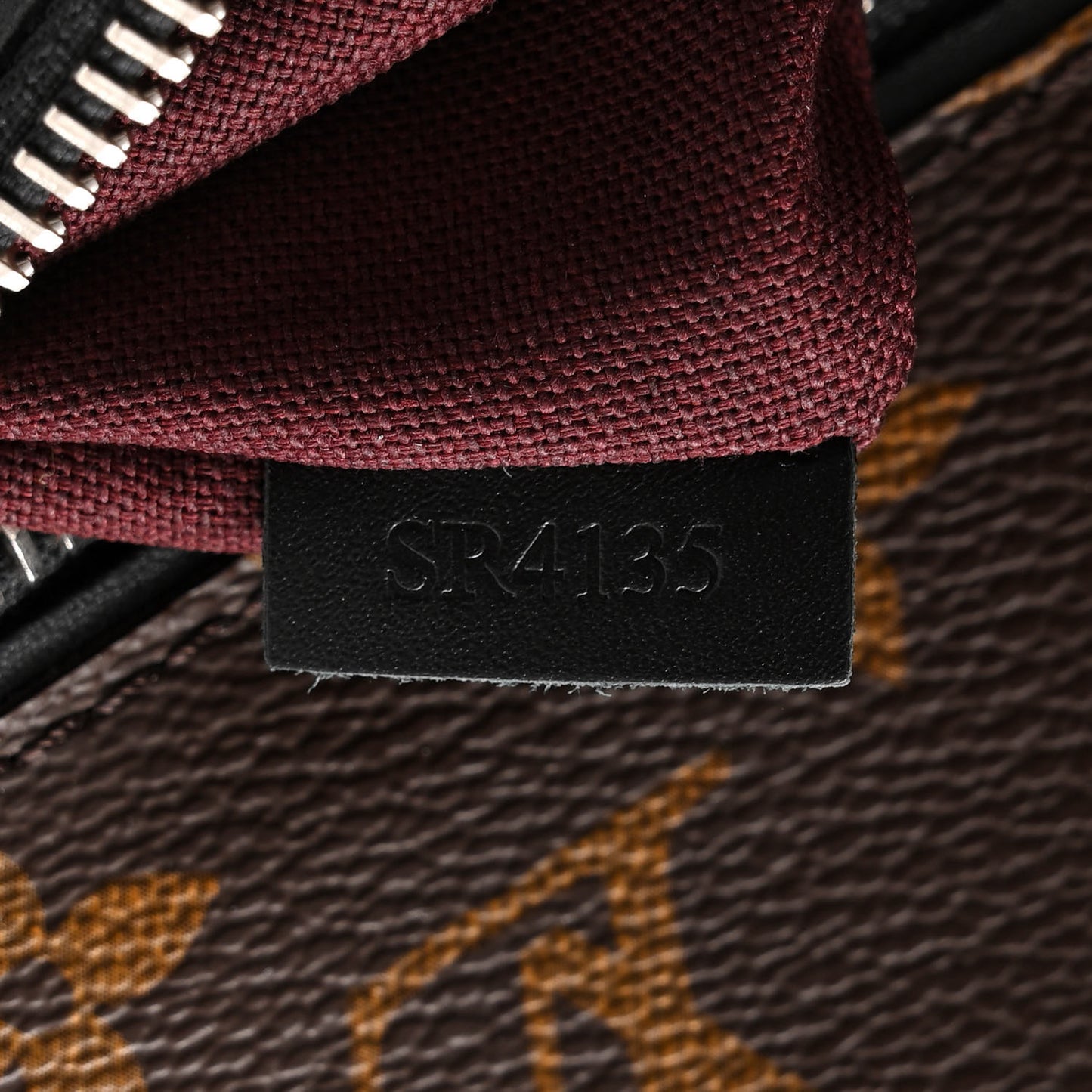 Monogram Macassar Palk Backpack