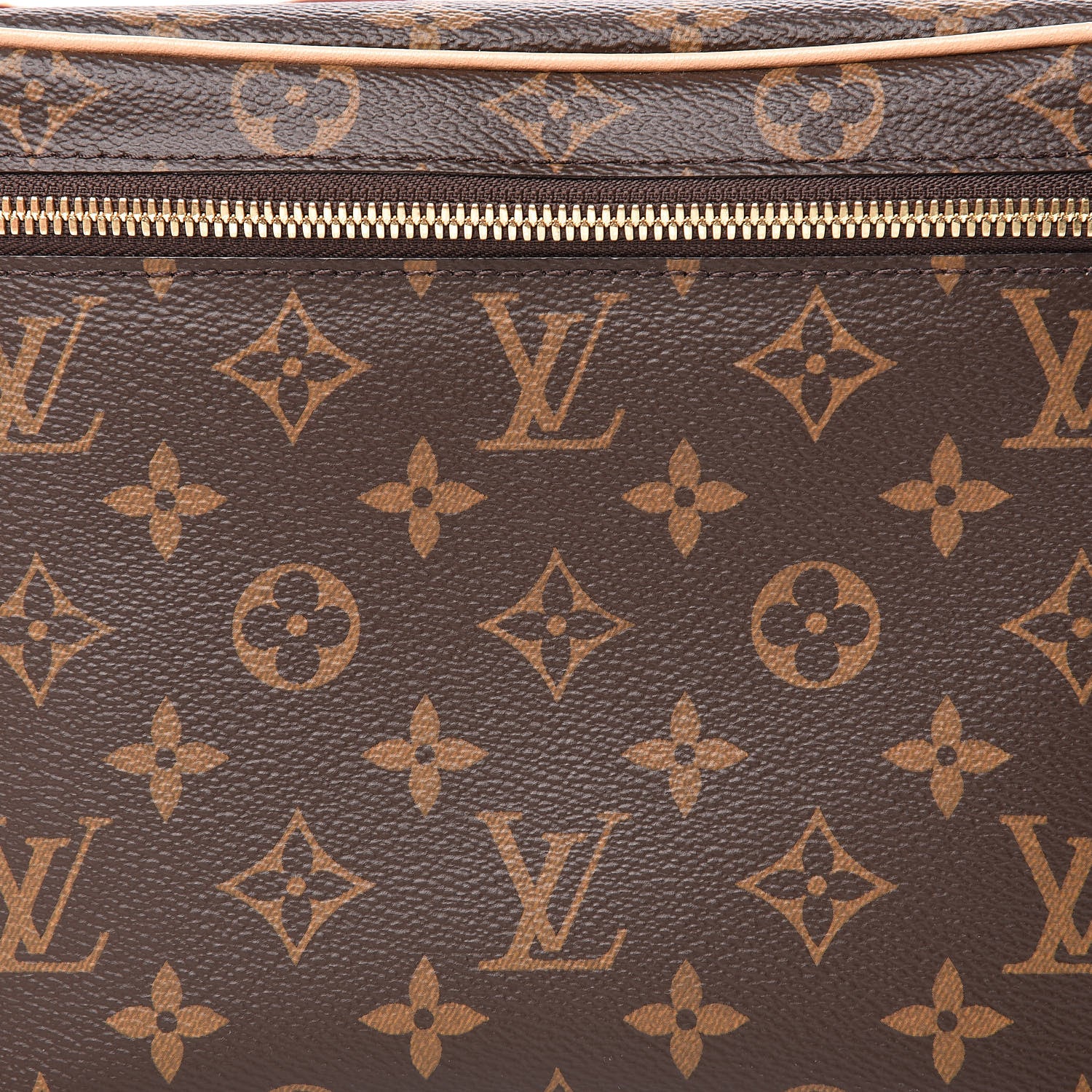Louis Vuitton Monogram Nice BB 7 of 10