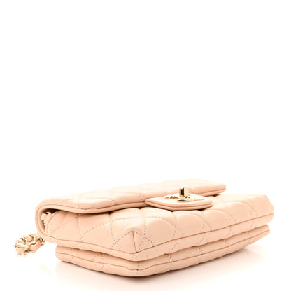Chanel Lambskin Quilted Daily Zippy Crossbody Beige 4 of 13