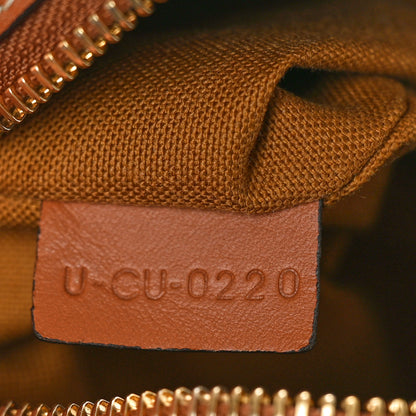 Celine Triomphe Canvas Small Camera Bag Tan 6 of 10