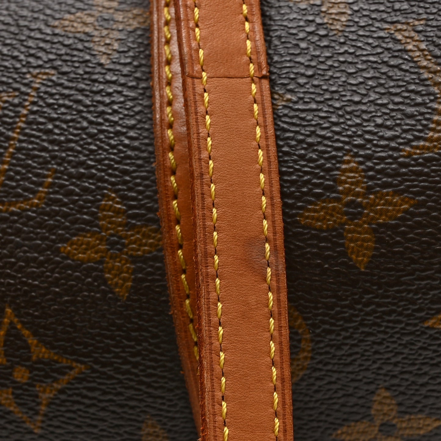 Monogram Papillon 30 with Companion