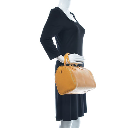 Louis Vuitton Epi Speedy 25 Tassil 2 of 7