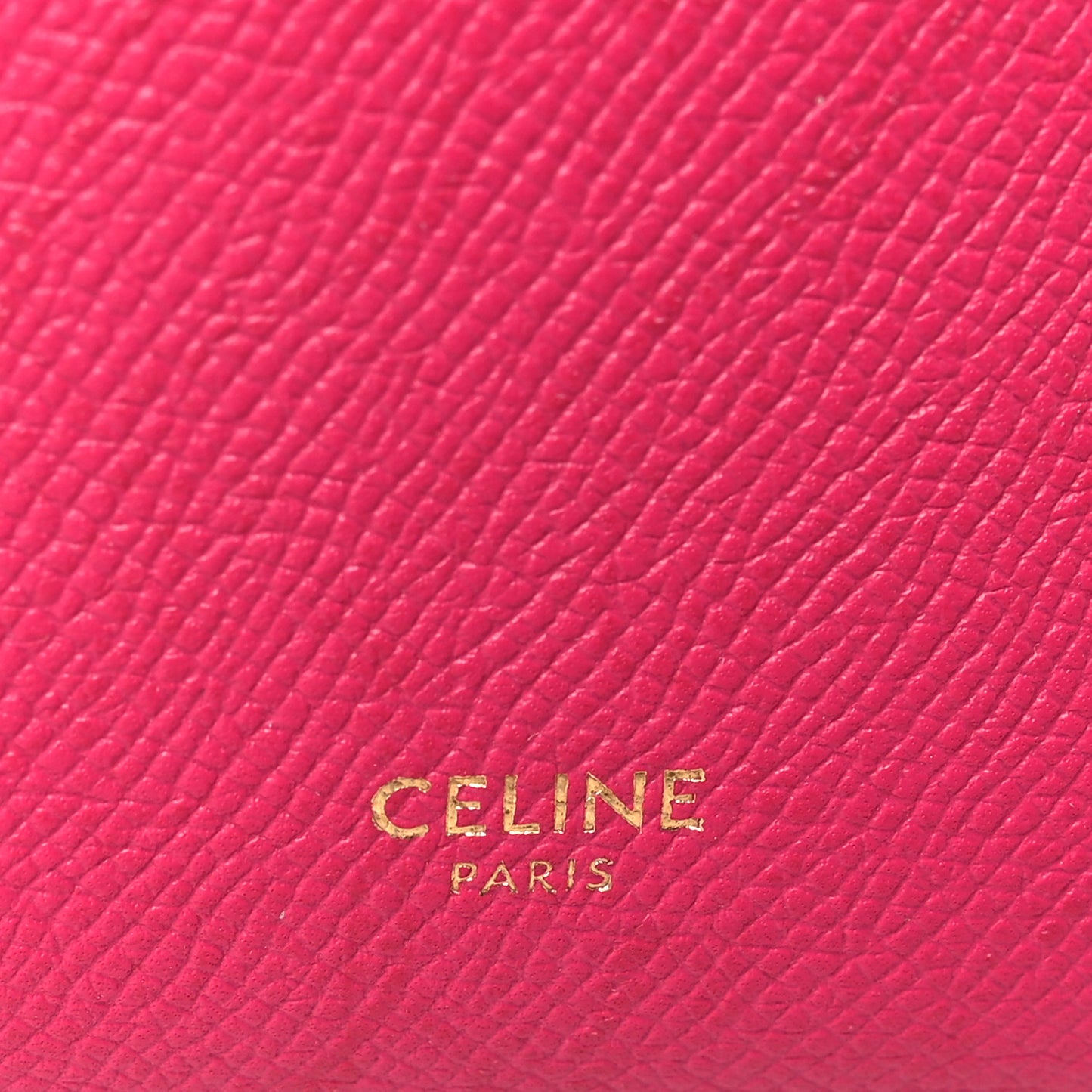 Grained Calfskin Nano Belt Bag Raspberry