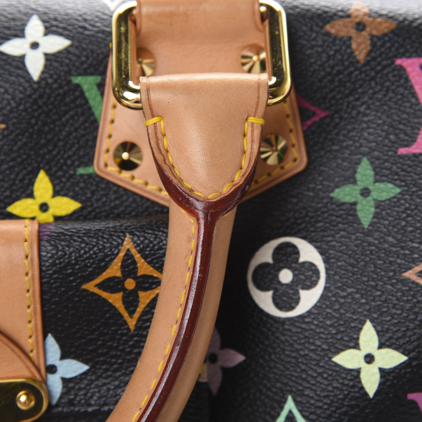 Monogram Multicolor Speedy 30 Black