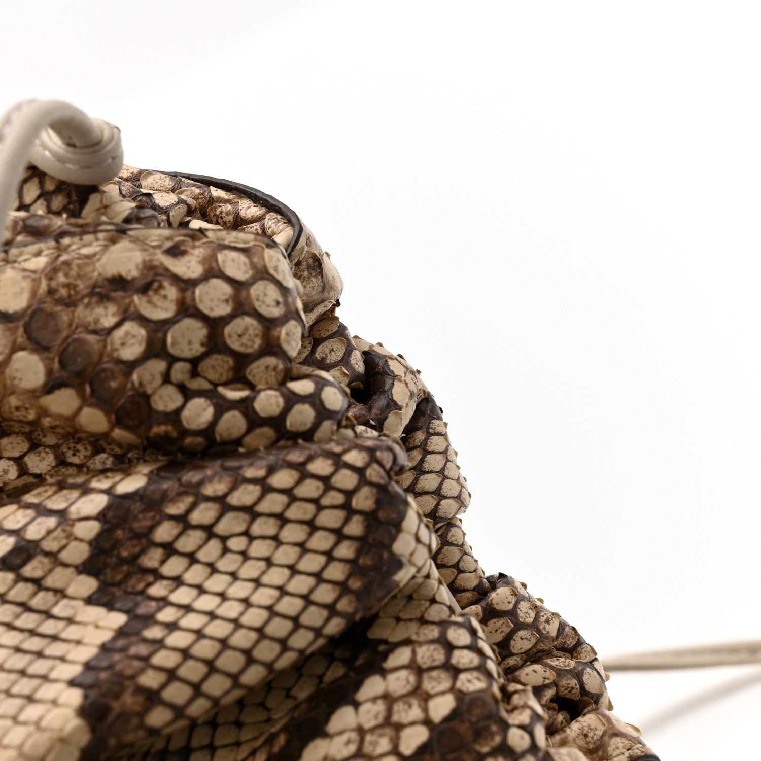 Bottega Veneta Snakeskin The Mini Pouch Brown 12 of 12