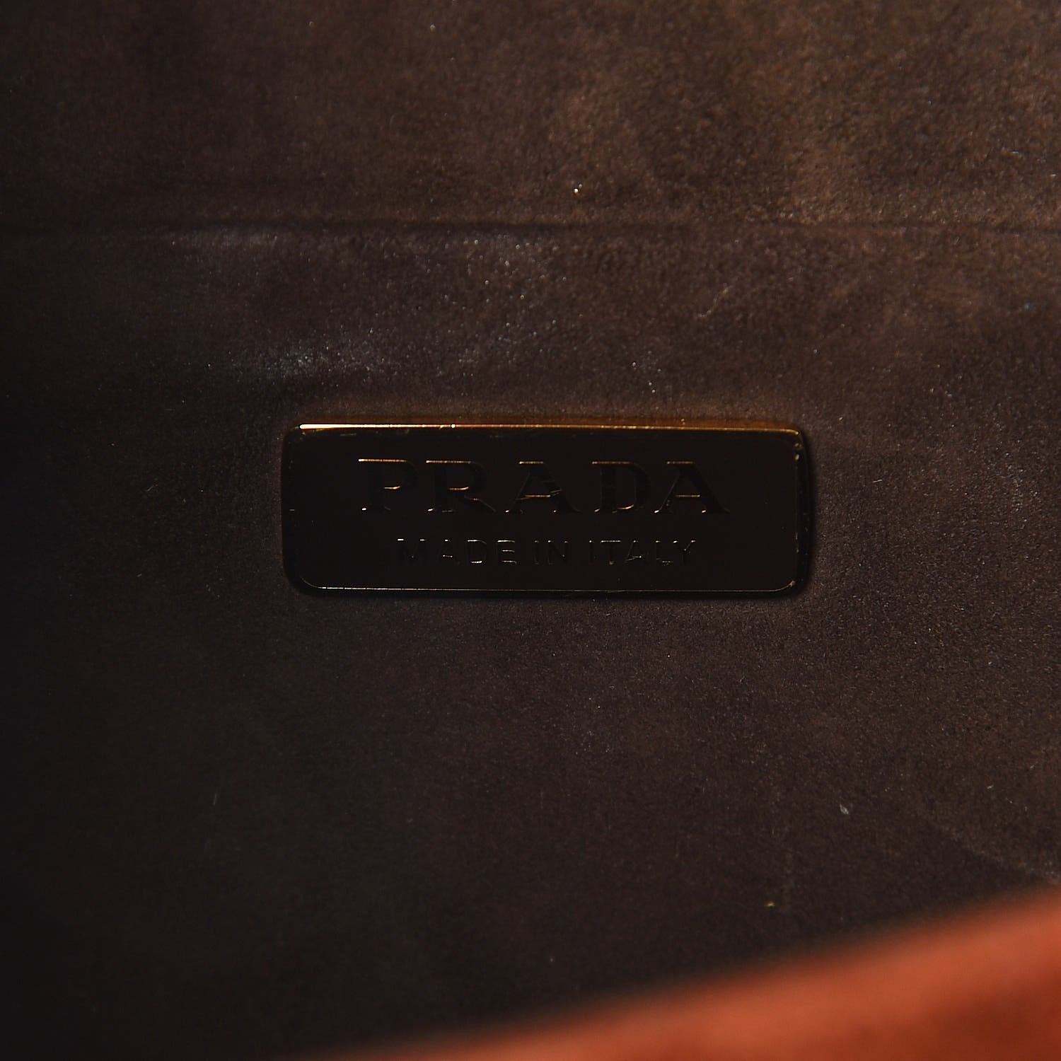 Prada Velluto Lions Head Cahier Shoulder Bag Ambra 6 of 9