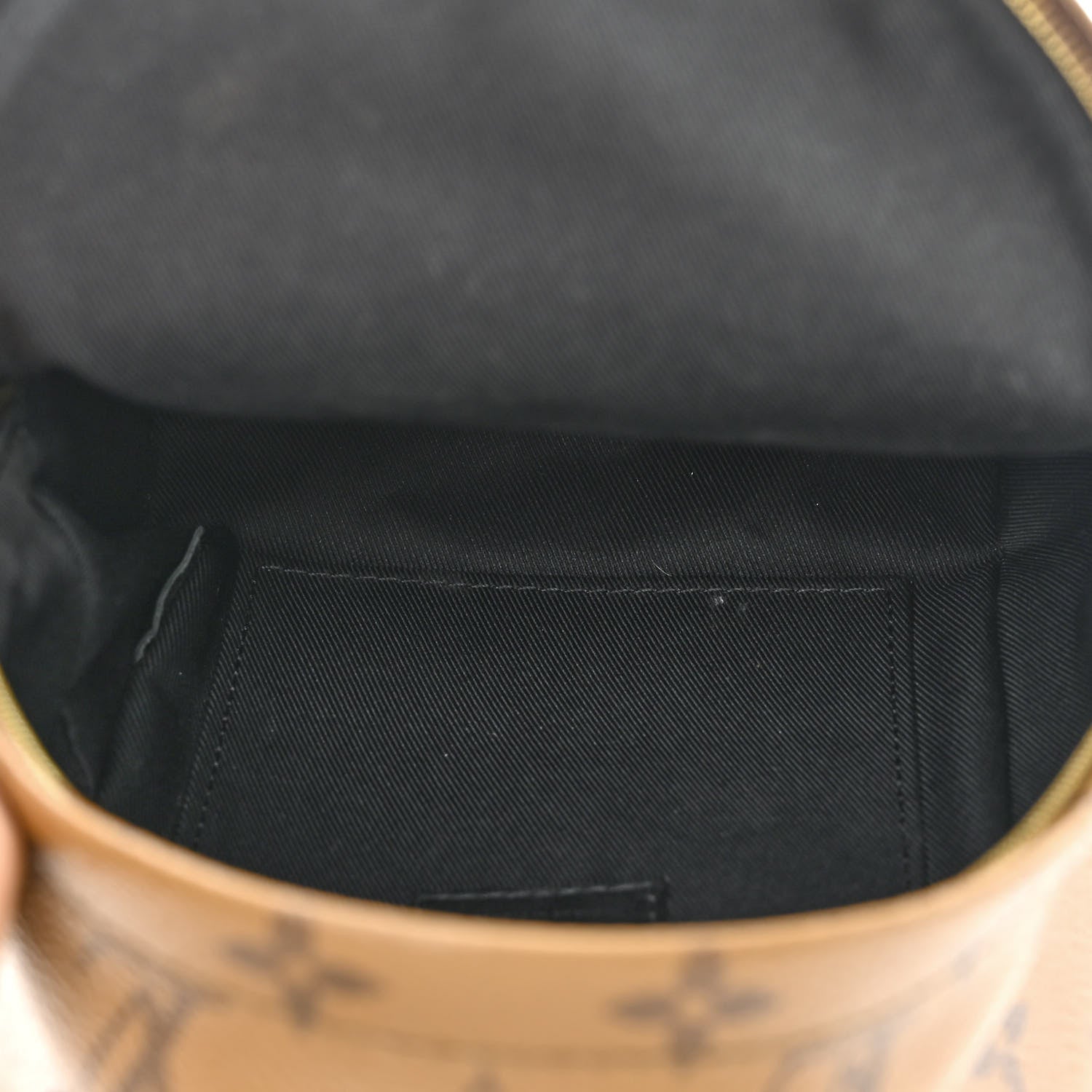 Louis Vuitton Reverse Monogram Palm Springs Backpack Mini 5 of 12