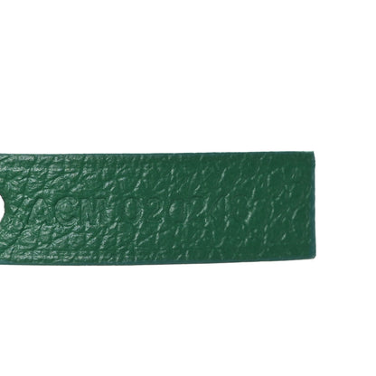 Goyard Goyardine Saint Louis PM Green 7 of 11