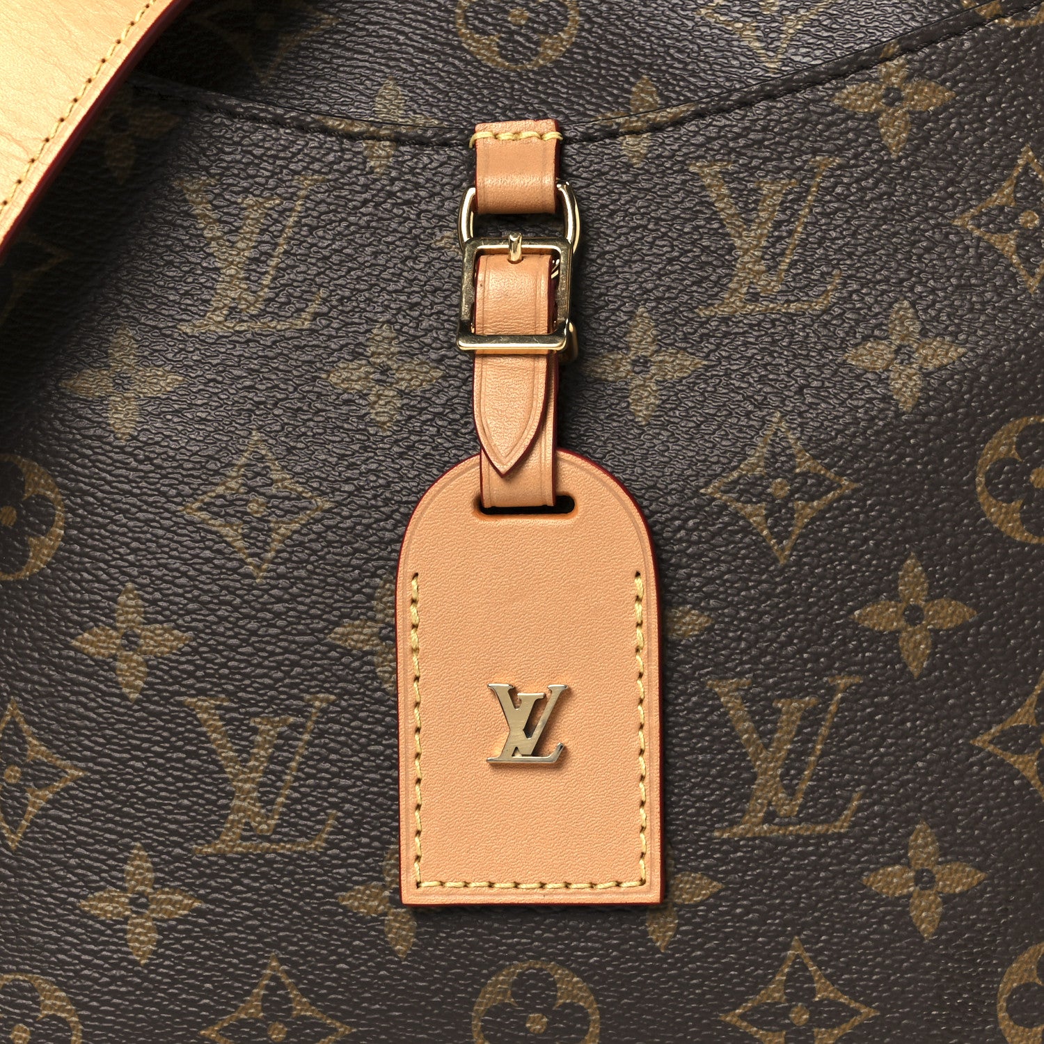 Louis Vuitton Monogram Odeon MM Natural 8 of 10