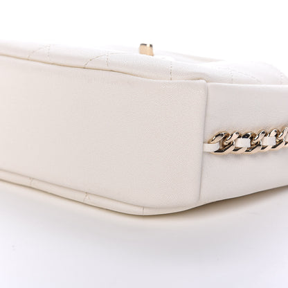 Chanel Goatskin Quilted Small Casual Trip Camera Case White 9 of 9
