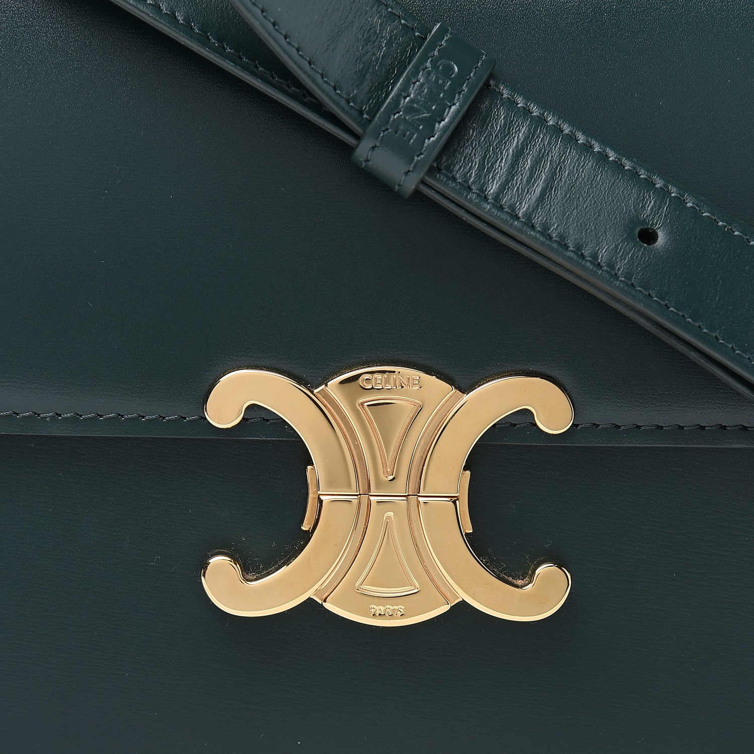 Celine Shiny Calfskin Medium Triomphe Amazone 14 of 14