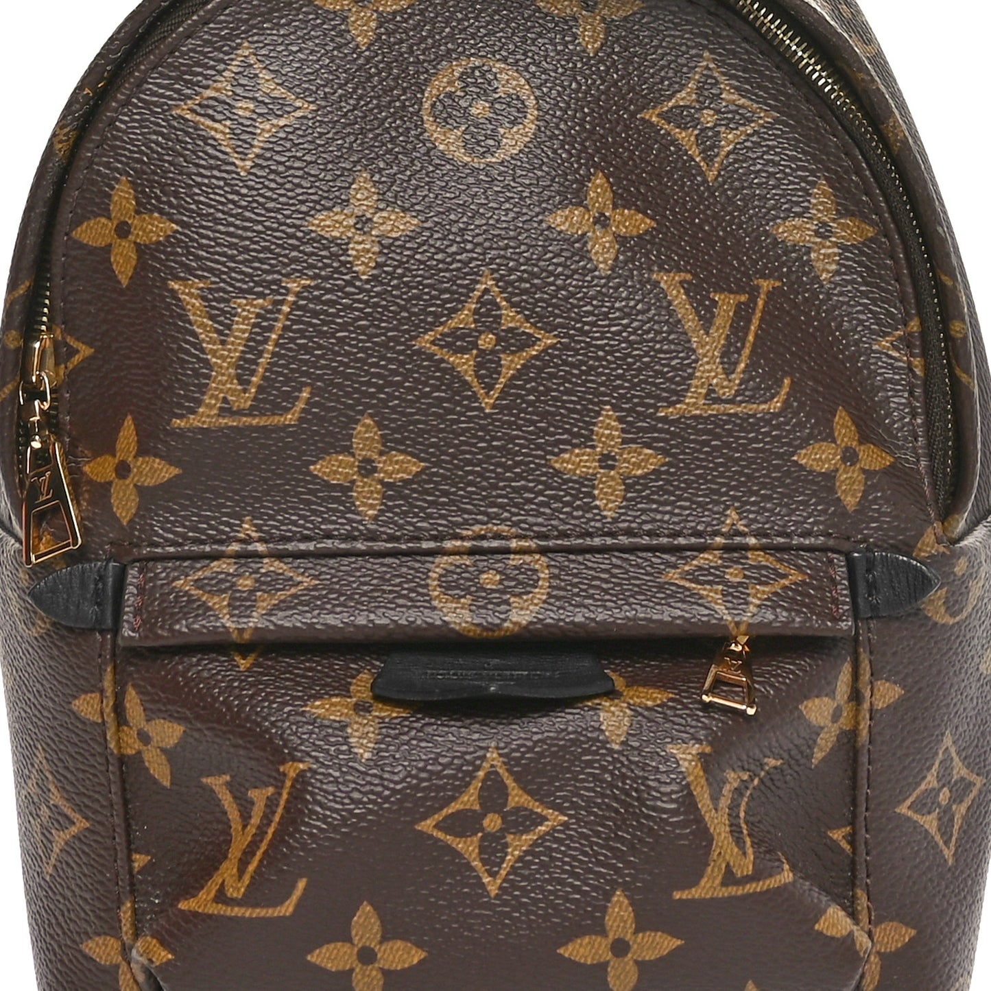 Monogram Palm Springs Backpack Mini