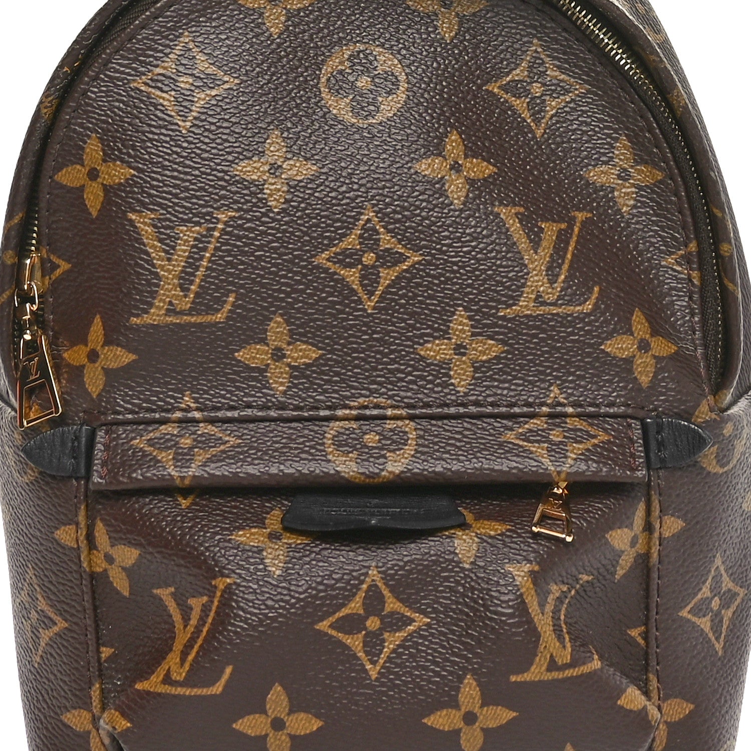 Louis Vuitton Monogram Palm Springs Backpack Mini 7 of 10