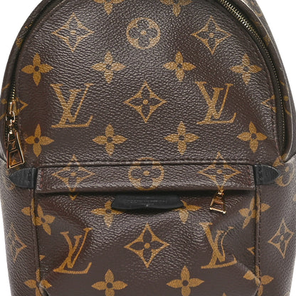 Louis Vuitton Monogram Palm Springs Backpack Mini 7 of 10