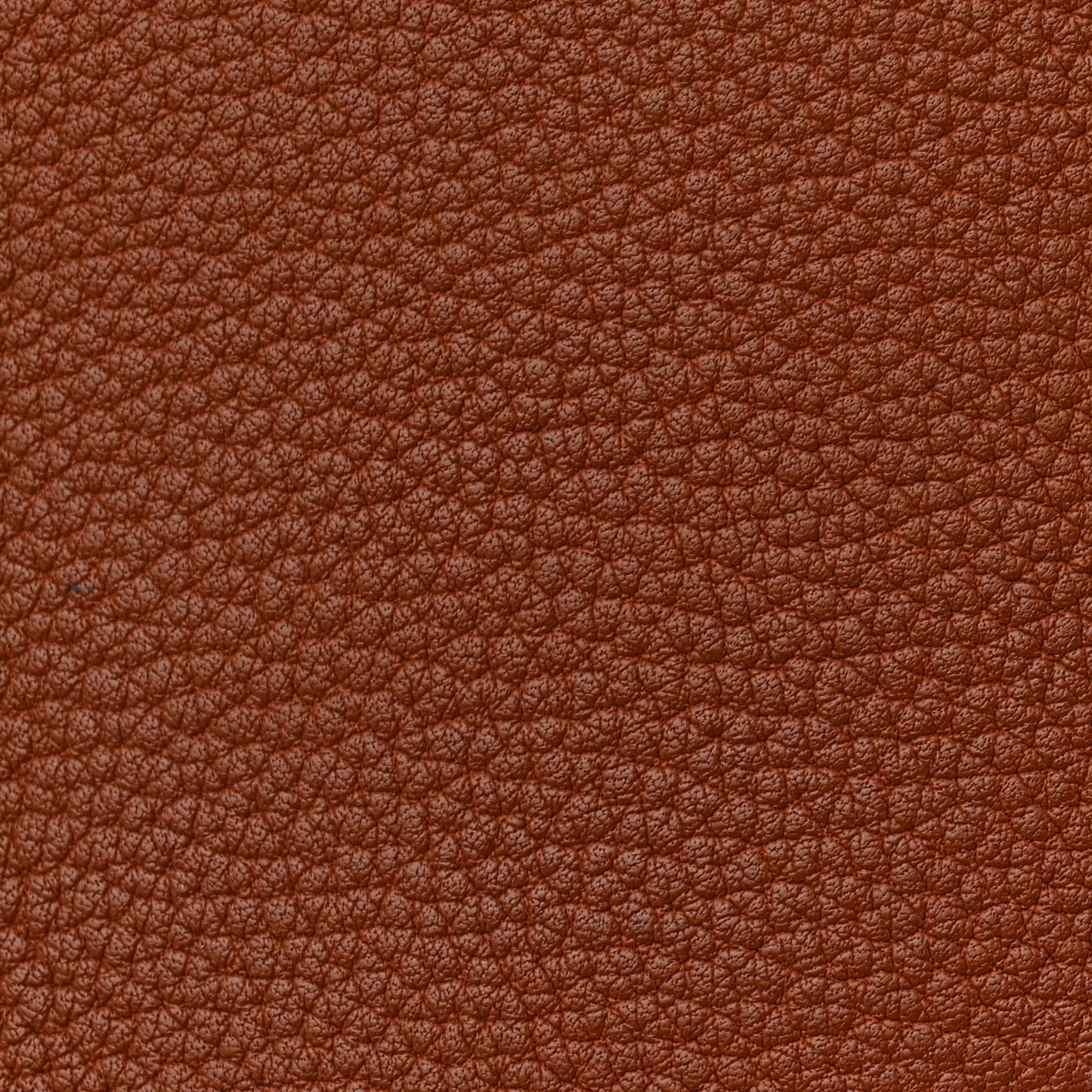 Chévre de Coromandel Plume 32 Gold