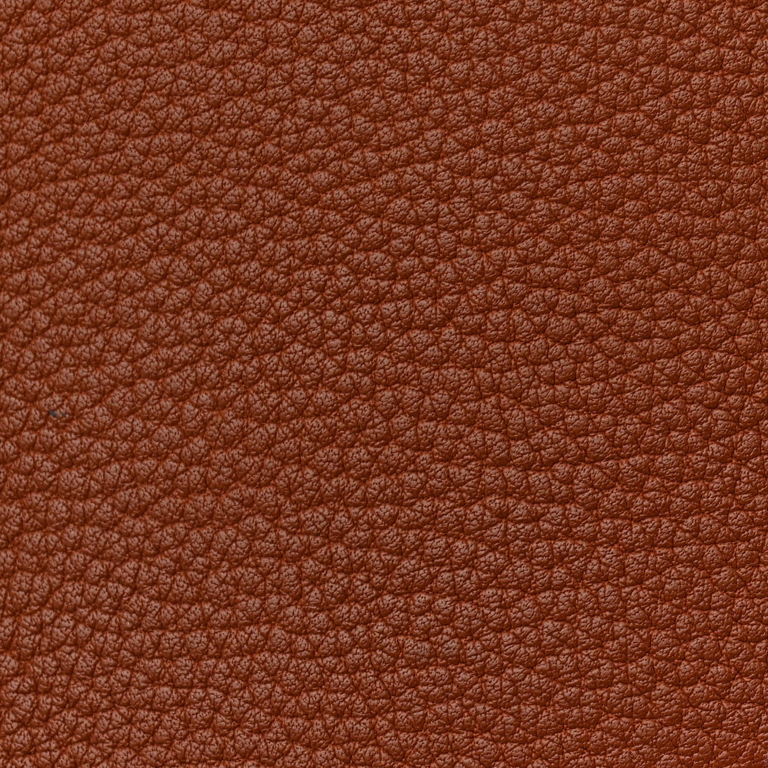 Hermes Chévre de Coromandel Plume 32 Gold 11 of 12