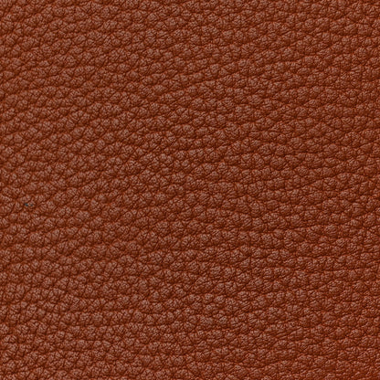 Hermes Chévre de Coromandel Plume 32 Gold 11 of 12