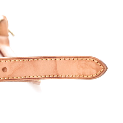 Louis Vuitton Monogram Odeon PM 12 of 14