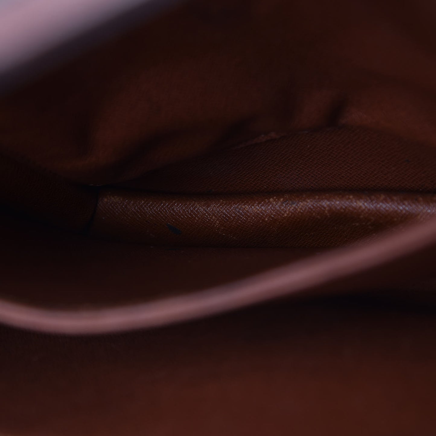 Monogram Raspail Shoulder Bag