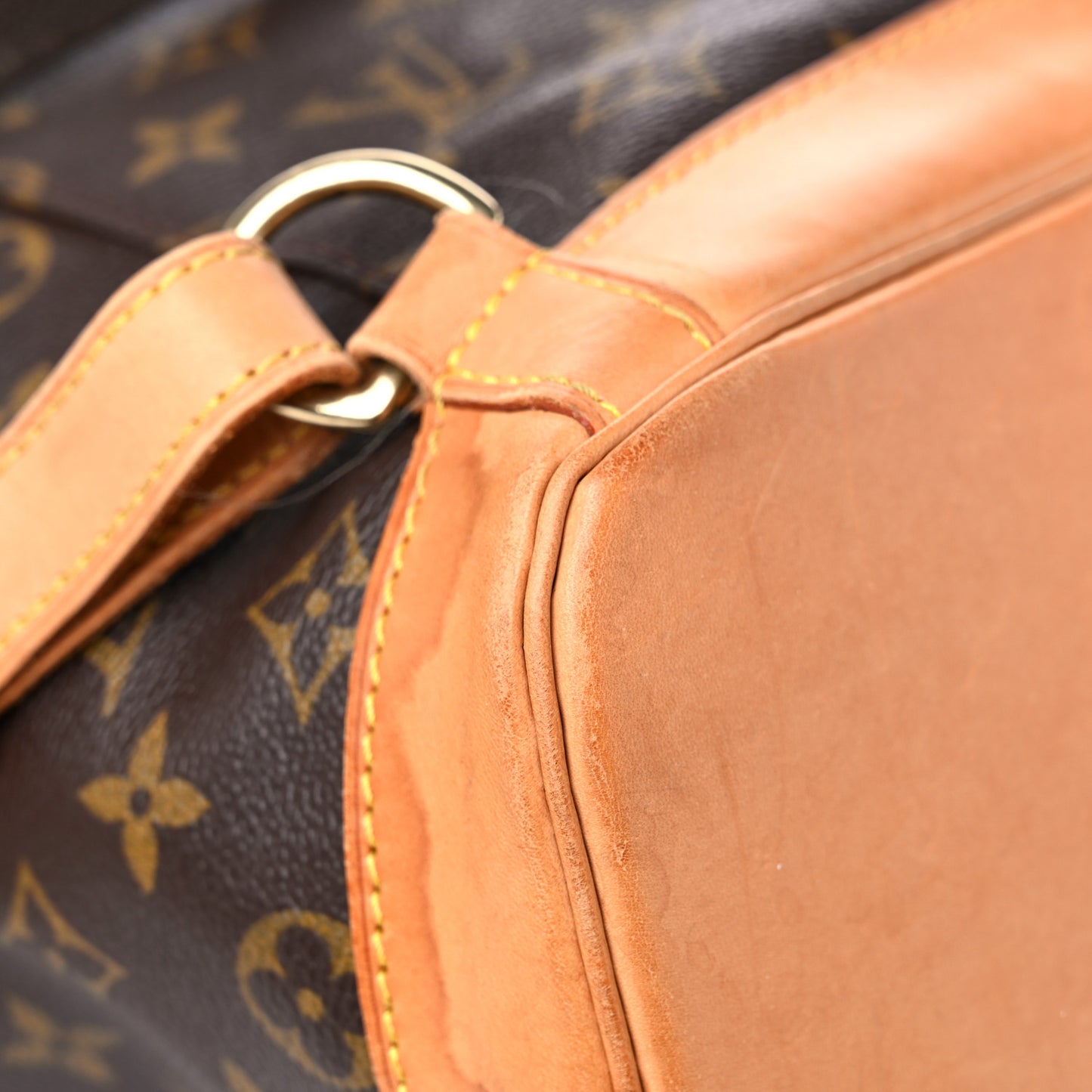 Monogram Montsouris GM Backpack