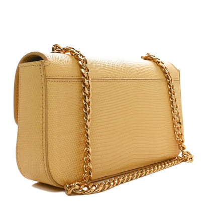 Celine Lizard Mini Triomphe Pollen 3 of 9