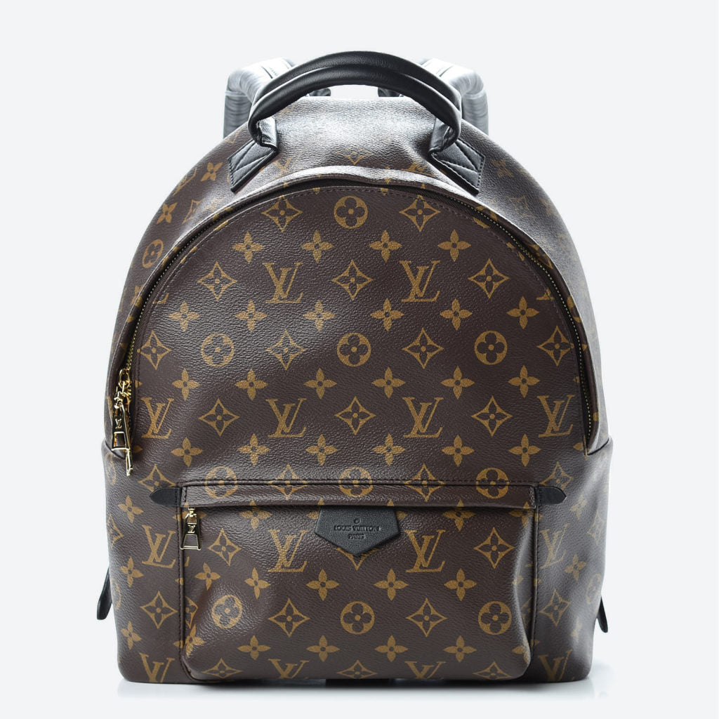 product image of louis vuitton backpack