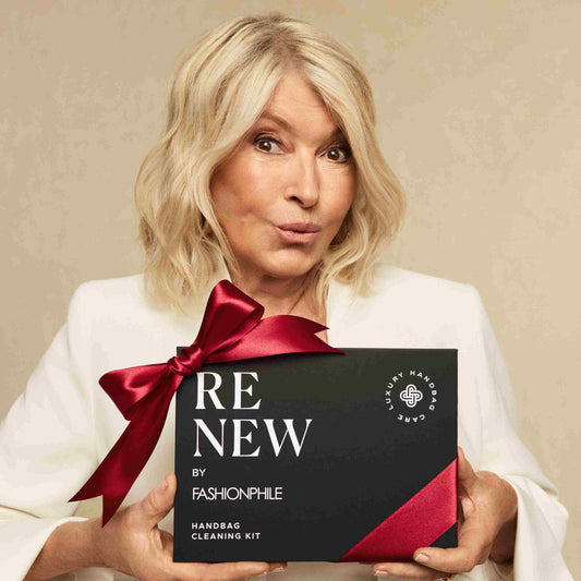 ReNew Handbag Cleaning Kit