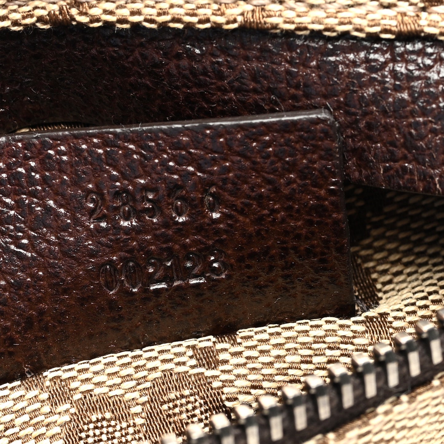 Monogram Web Belt Bag Dark Brown