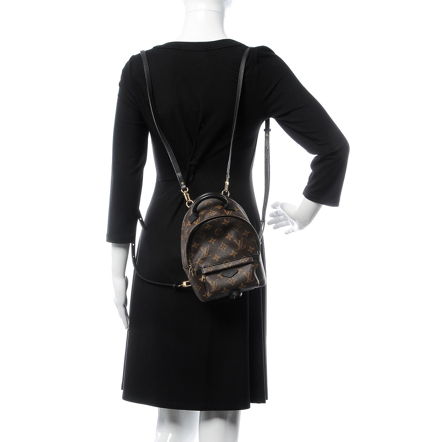 Monogram Palm Springs Backpack Mini