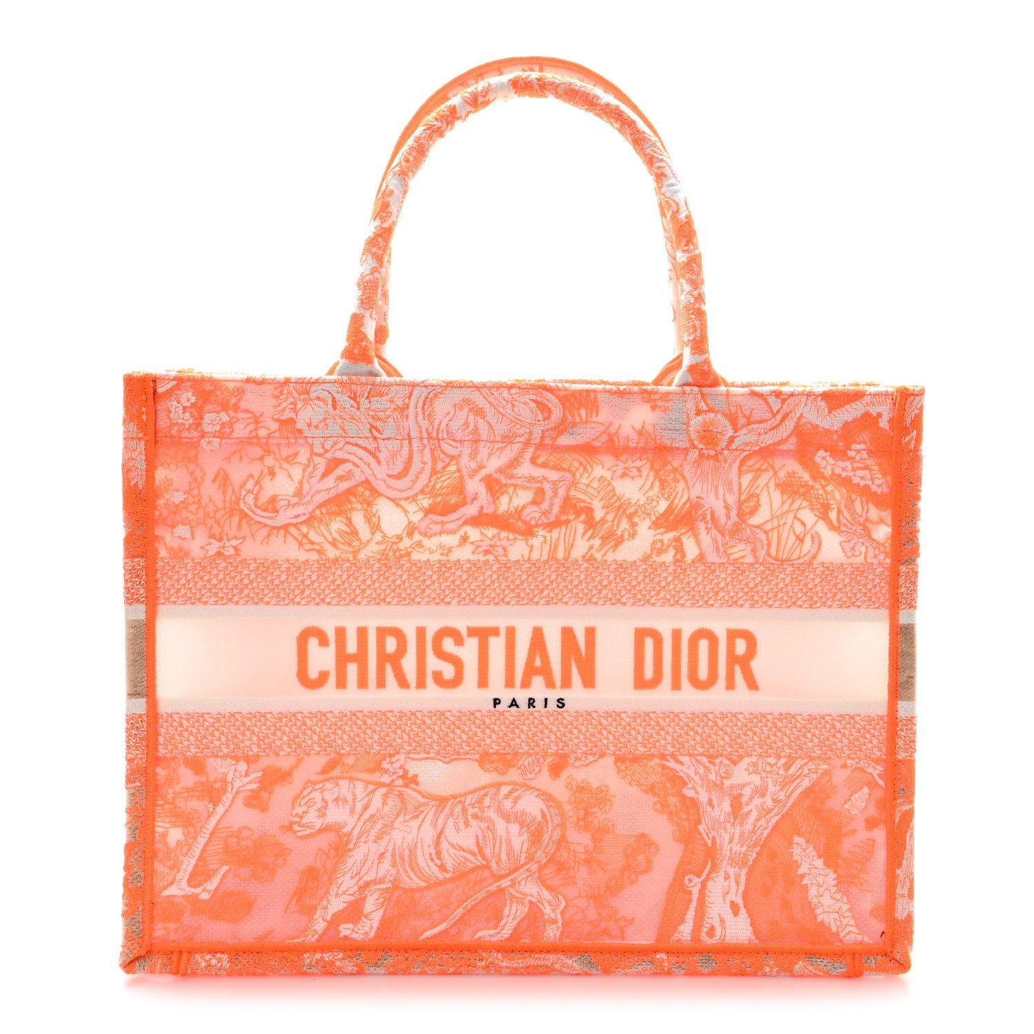 Christian Dior Transparent Canvas Embroidered Medium Dioriviera