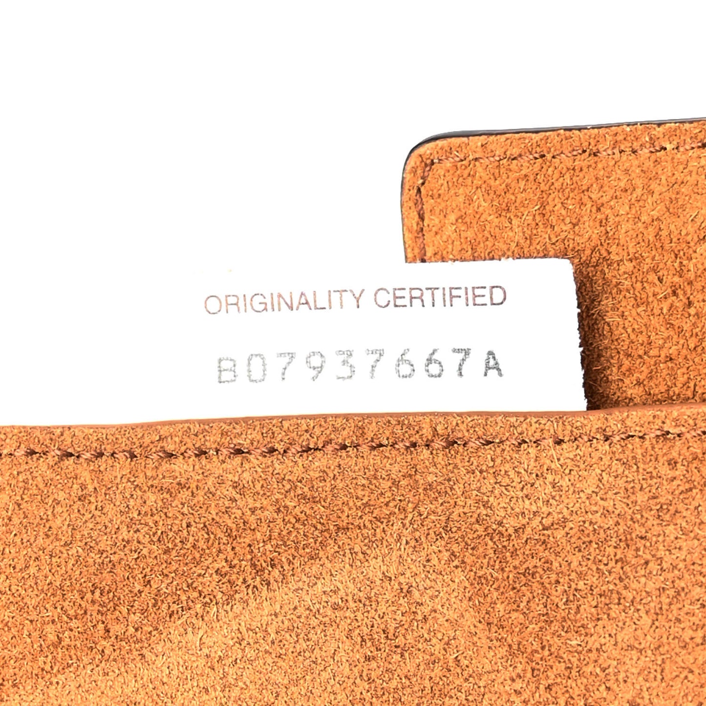 Grainy Calfskin Small Arco Wood