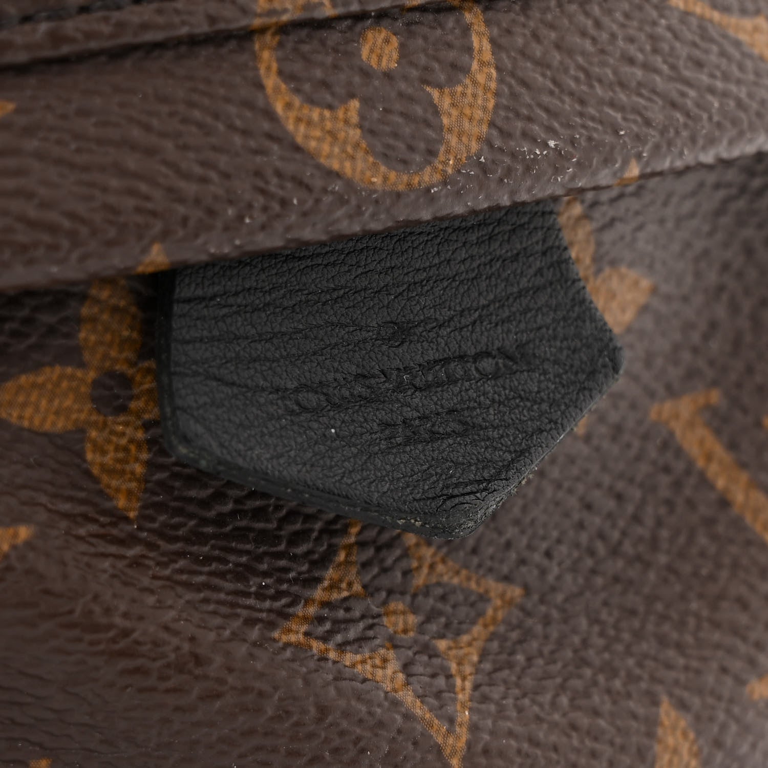 Louis Vuitton Monogram Palm Springs Backpack Mini 10 of 18