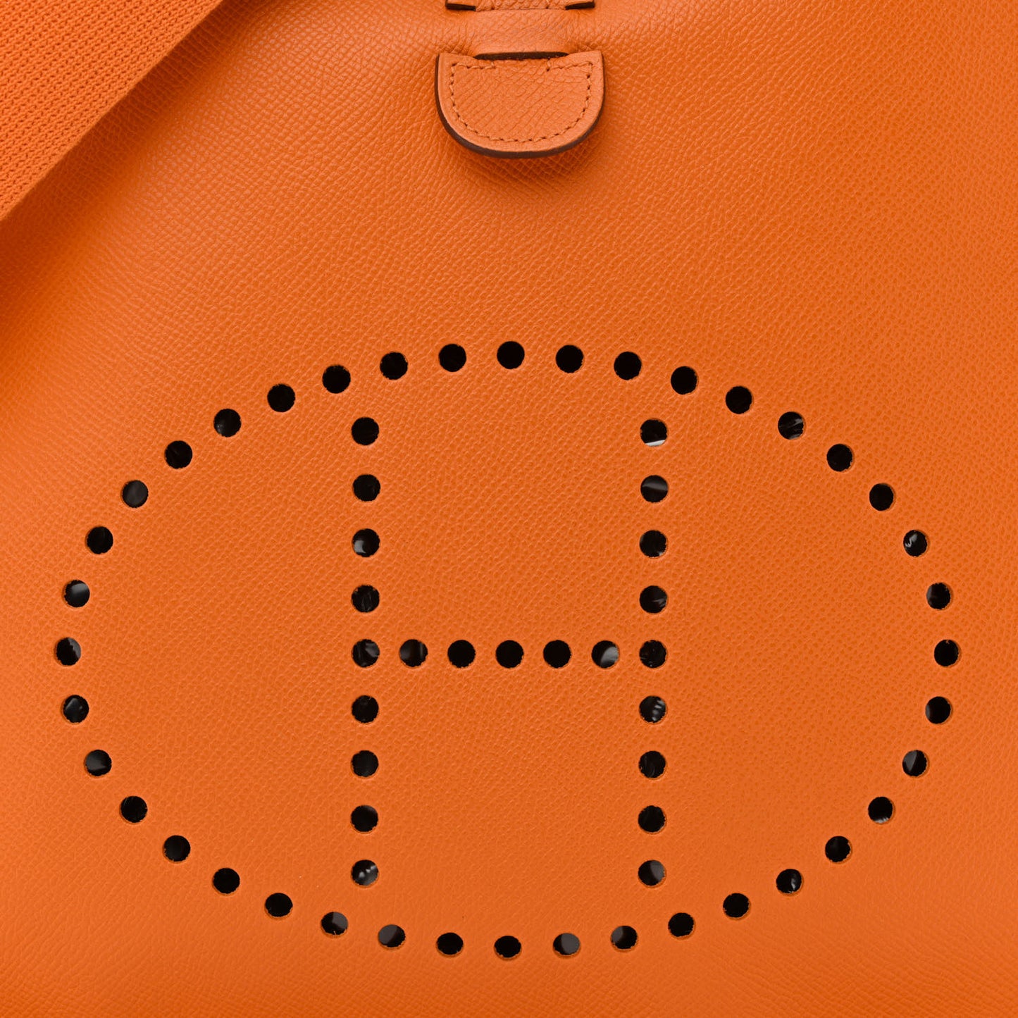 Epsom Evelyne II GM Orange