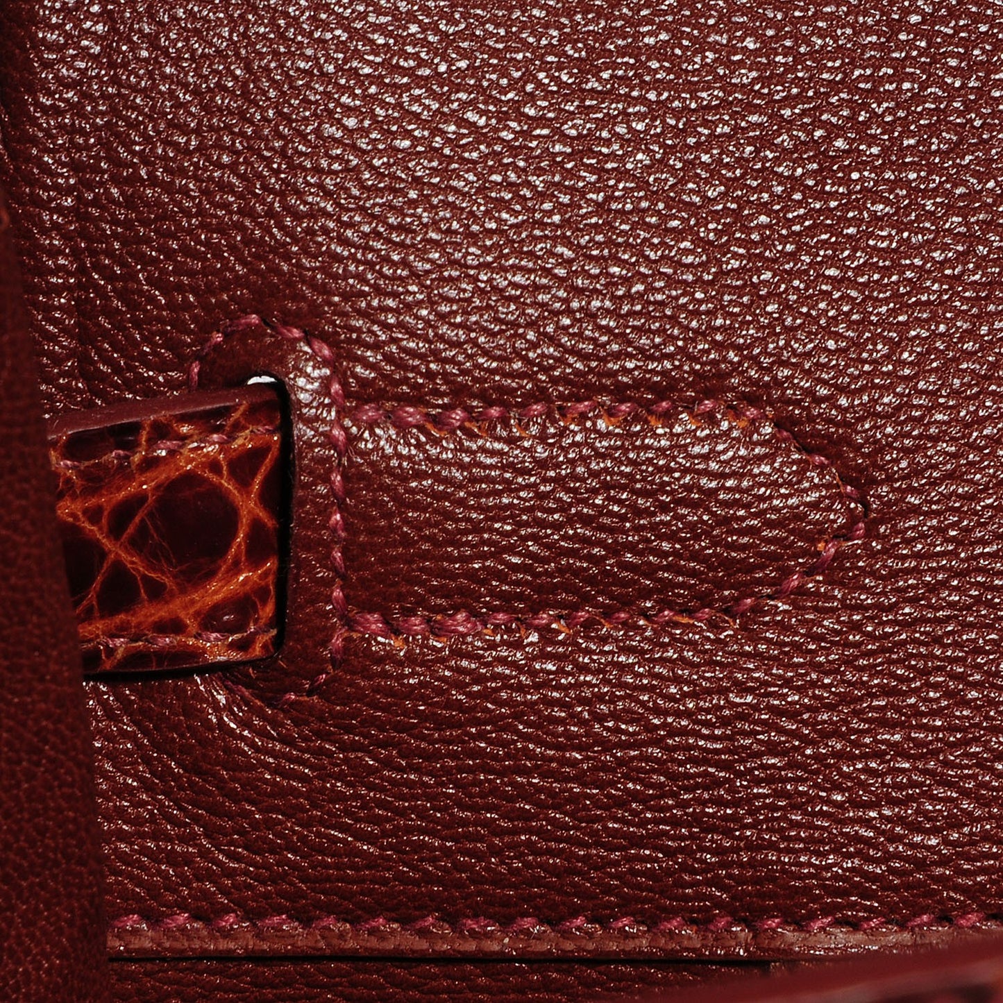 Shiny Porosus Crocodile Birkin 35 Miel