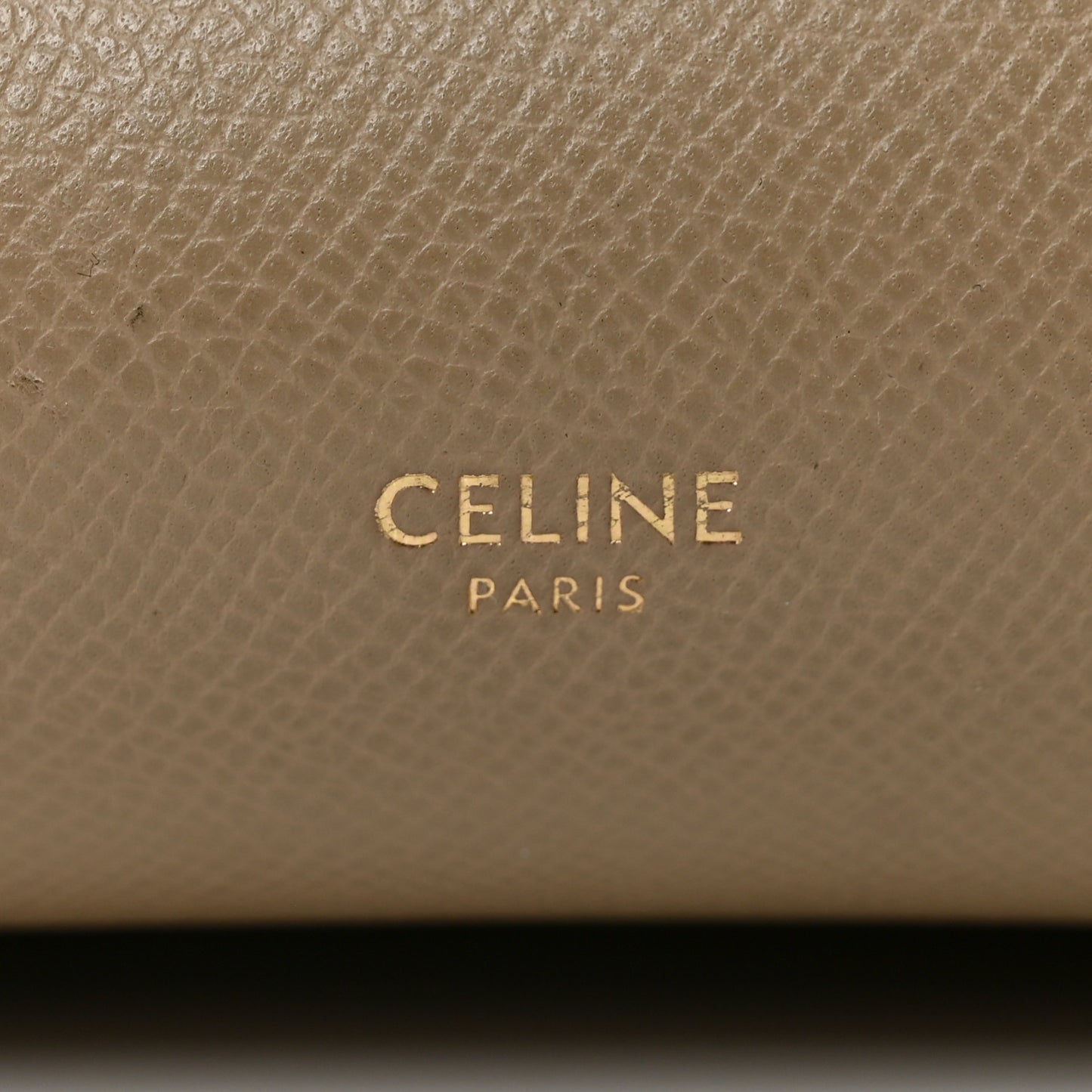 Grained Calfskin Mini Belt Bag Light Taupe