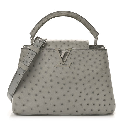 Louis Vuitton Ostrich Capucines BB Gris 1 of 9