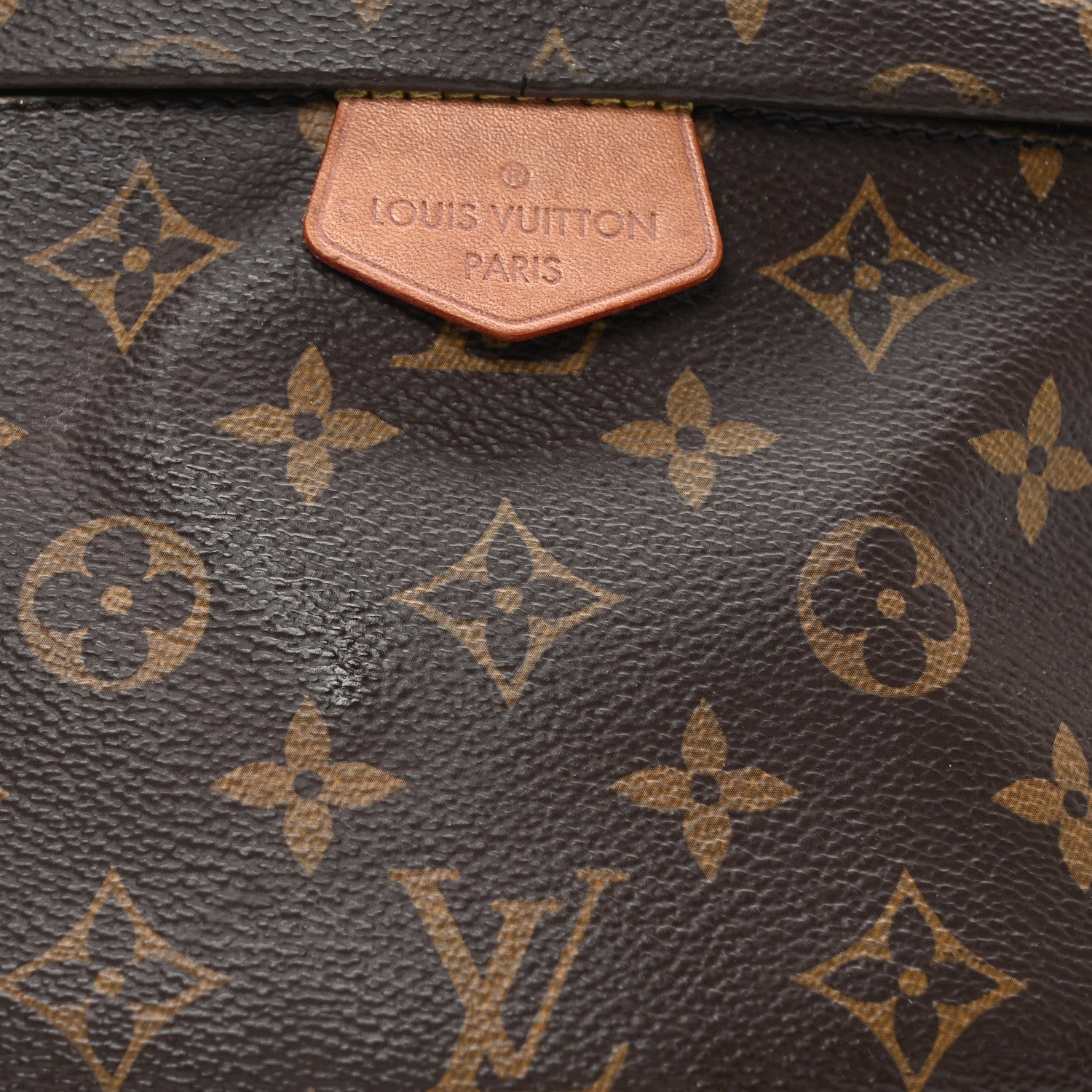 Louis Vuitton Monogram Bumbag 7 of 9