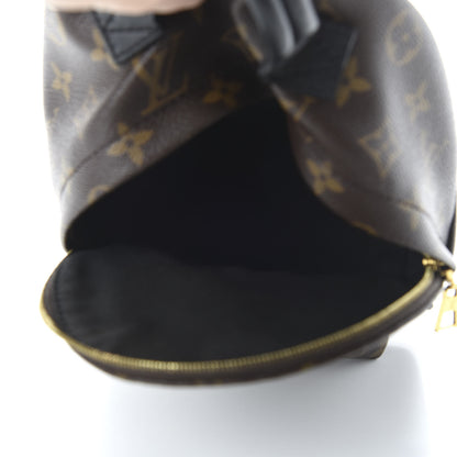 Louis Vuitton Monogram Palm Springs Backpack Mini 4 of 8