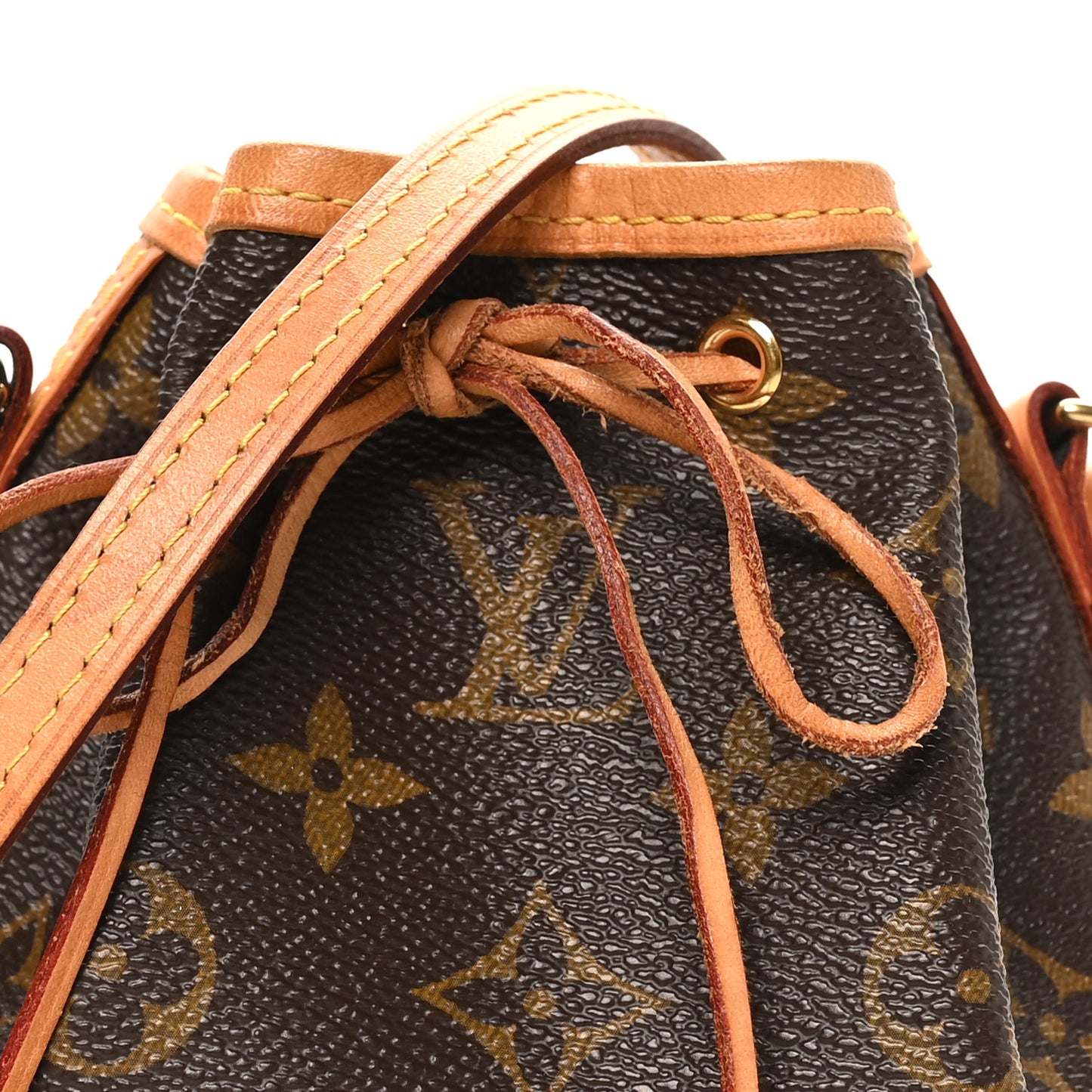 Monogram Nano Noe