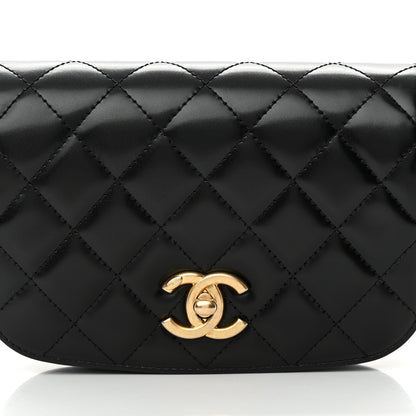 Chanel Shiny Calfskin Quilted Suede Goatskin Belt Bag Black 8 of 13