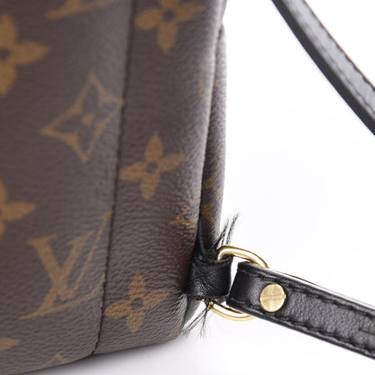 Louis Vuitton Monogram Palm Springs Backpack Mini 12 of 14