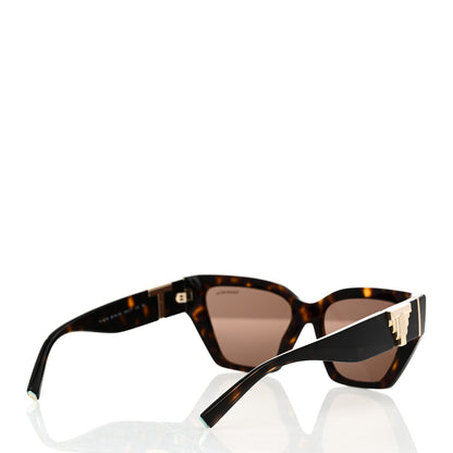 Tiffany Acetate Metal Deco T Sunglasses Brown 4 of 8