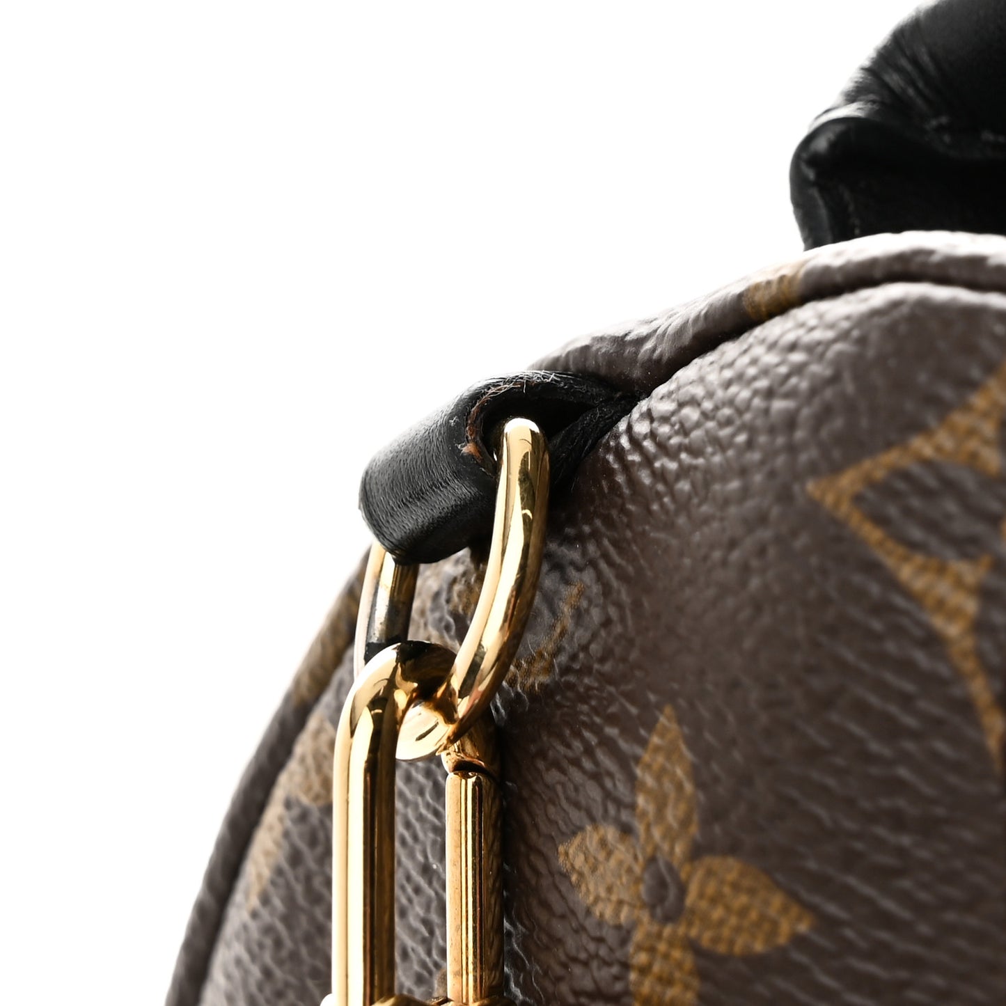 Monogram Palm Springs Backpack Mini