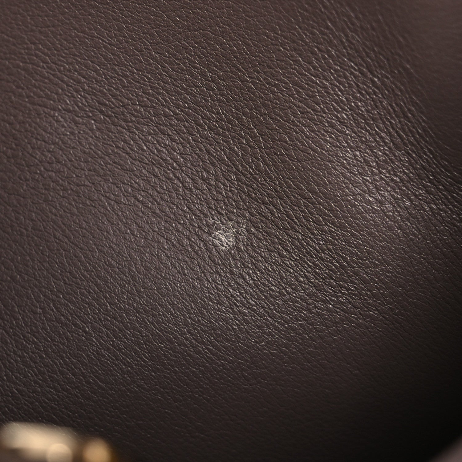 Christian Dior Crocodile Large Diorissimo Yellow 16 of 19