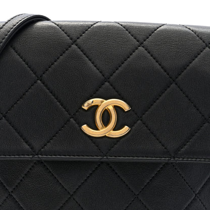 Chanel Calfskin Quilted Pearl Small About Pearls Hobo Bag Black 8 of 10