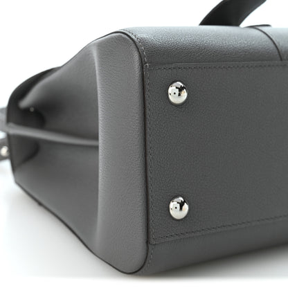 Delvaux Rodeo Calfskin PM Brillant Satchel Stone 10 of 11