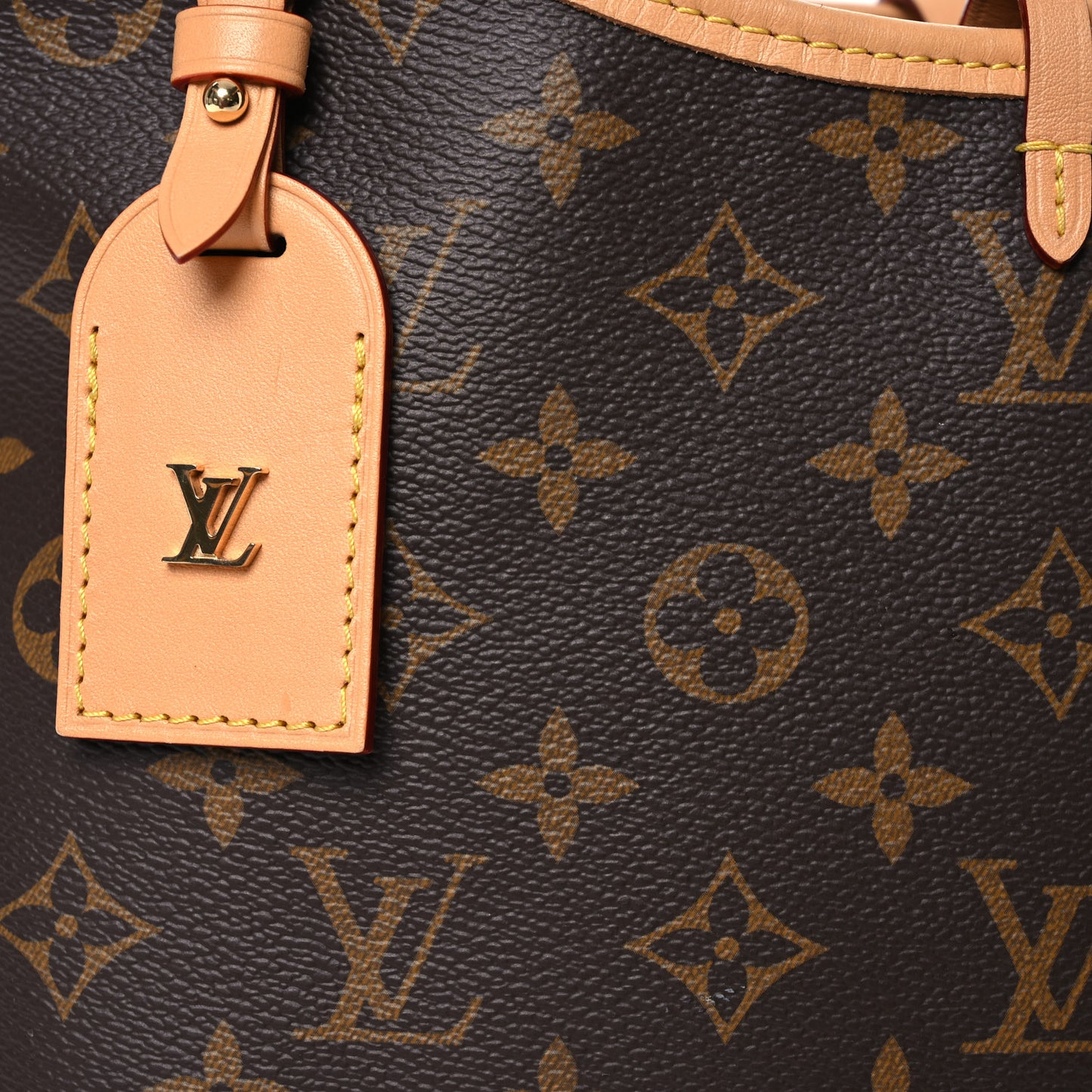 Monogram CarryAll PM