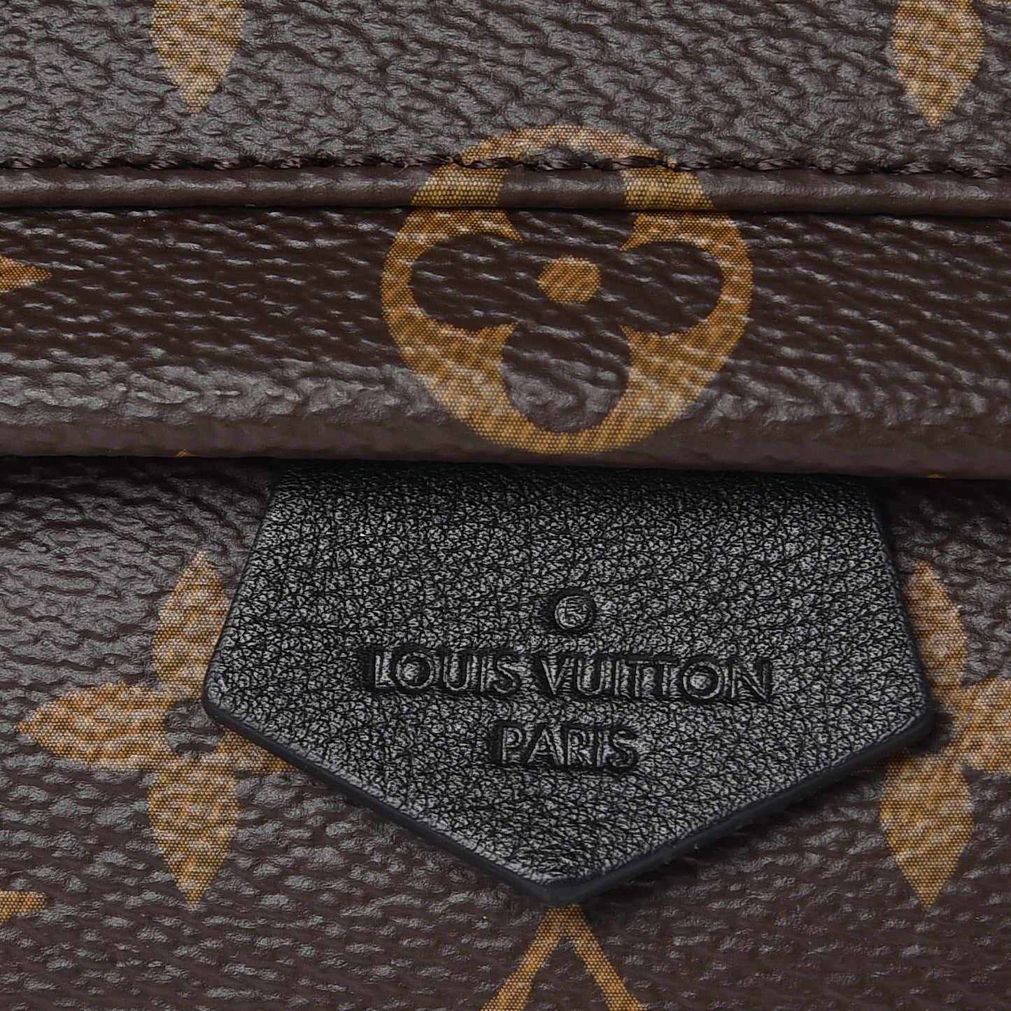 Monogram Palm Springs Backpack Mini