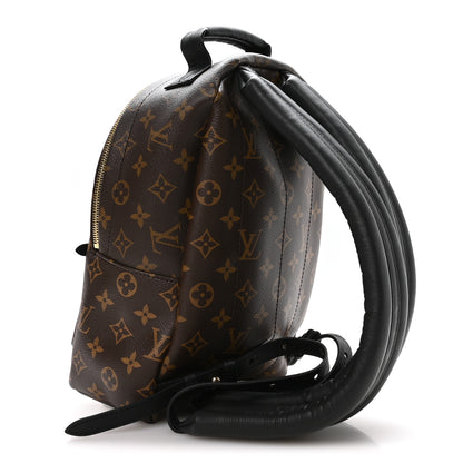 Louis Vuitton Monogram Palm Springs Backpack PM 3 of 9