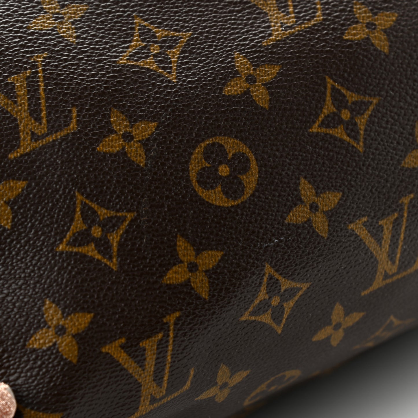 Monogram Speedy 25